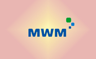 ✓ MWM 0336 9374 Запчасть MWM 